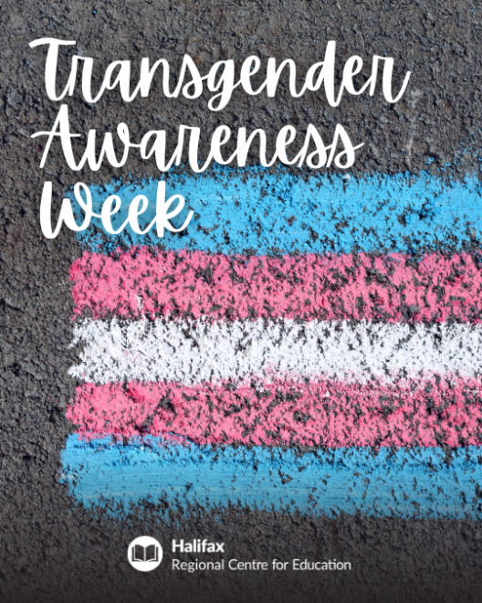 Transgender awarness week in white writing with a blue pink and white flag as the backround